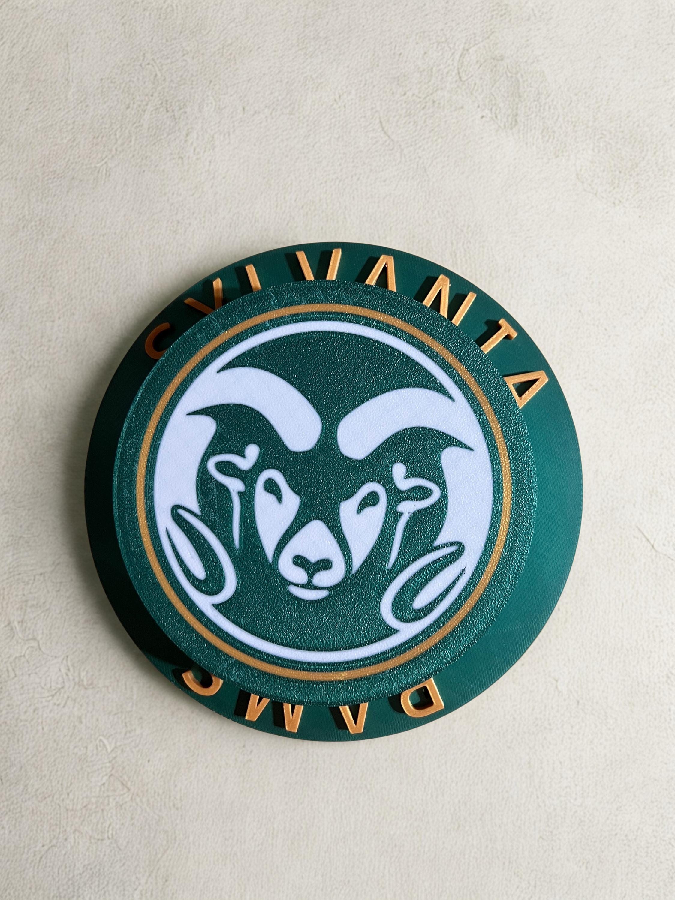 High School Sports Spinner Chain